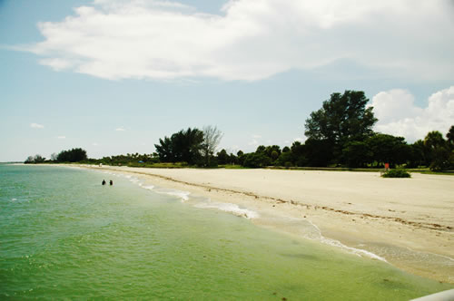 Grünes Wasser