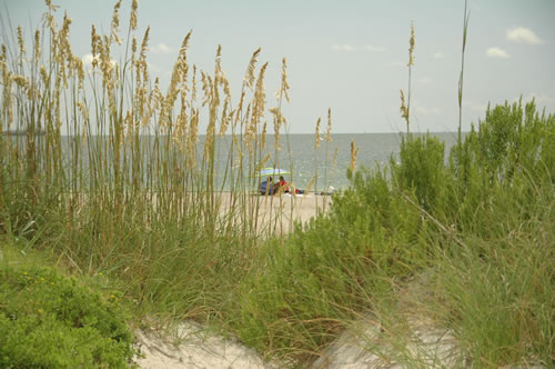 Beste Strände in St. Pete